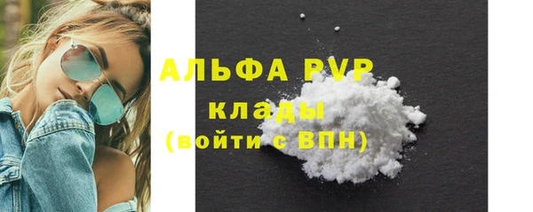 индика Алексин