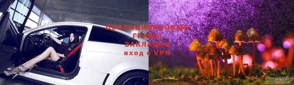 индика Алексин