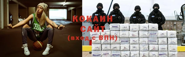 индика Алексин