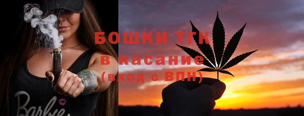 индика Алексин