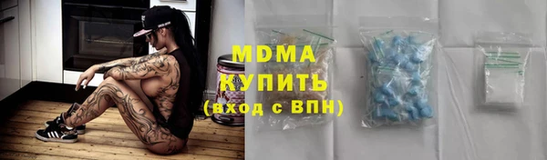 индика Алексин