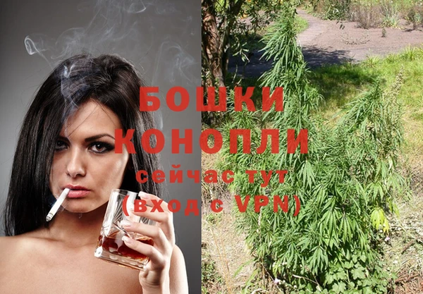 индика Алексин
