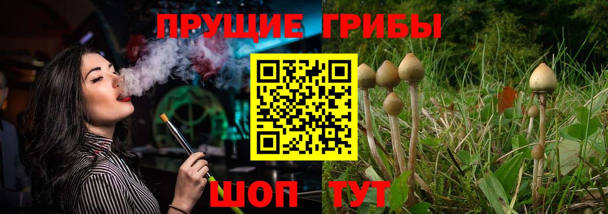 Псилоцибиновые грибы Psilocybine cubensis  Вход с VPN  Иваново 
