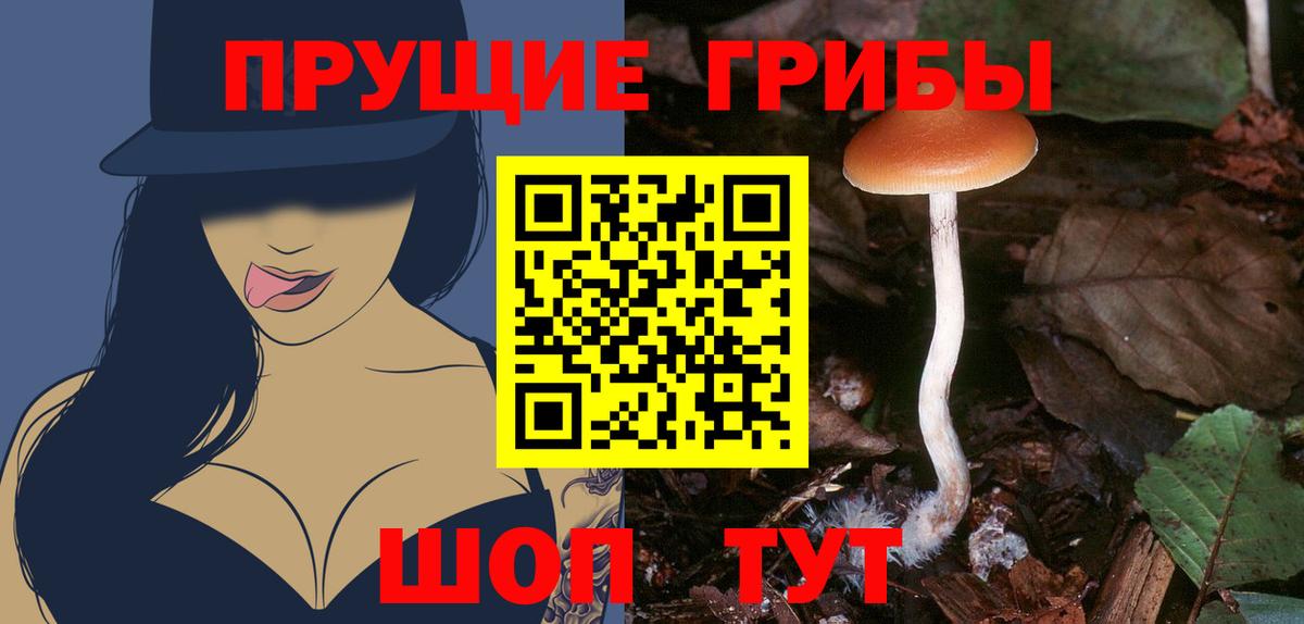 Псилоцибиновые грибы MAGIC MUSHROOMS Иваново
